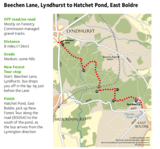 The new forest beechen lane to east boldre cycle route